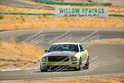 media/Oct-26-2024-Cobra Club (Sat) [[ed594ebad6]]/Passenger/